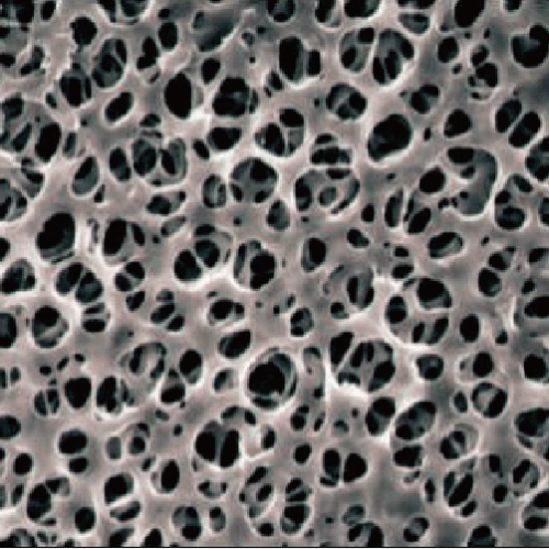 醋酸纖維過濾膜